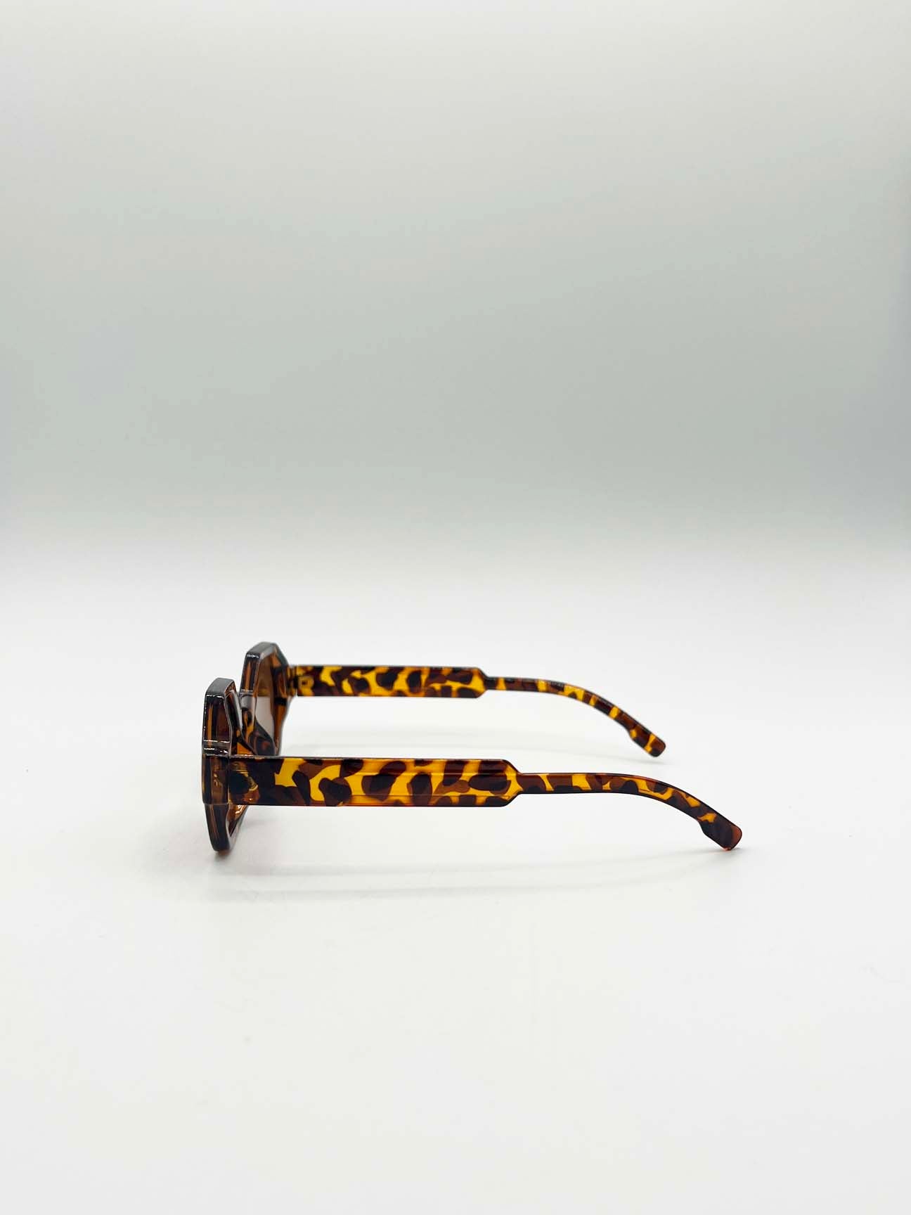 Round Hexagon Sunglasses in Tortoise/Brown