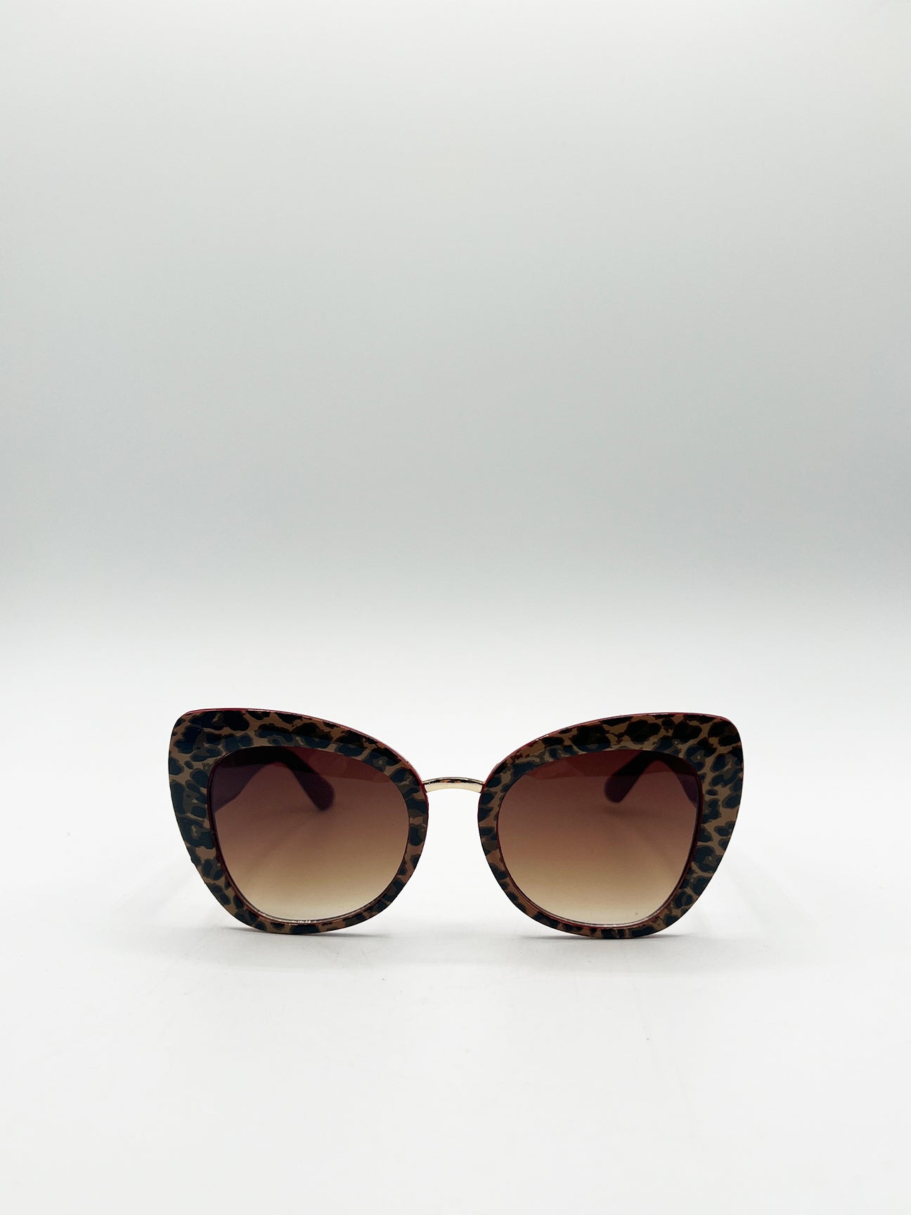 Oversized Cat-Eye Sunglasses in Brown